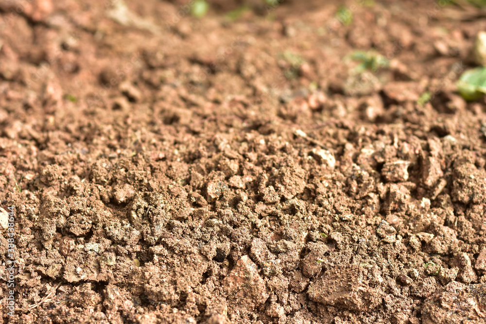 Clean soil for cultivation. The potting soil or peat is suitable for gardening and is one of the four natural elements. The land is life for our planet earth. Selective Focus. Clean soil for cultivation. The potting soil or peat is suitable for gardening and is one of the four natural elements. The land is life for our planet earth. Selective Focus.