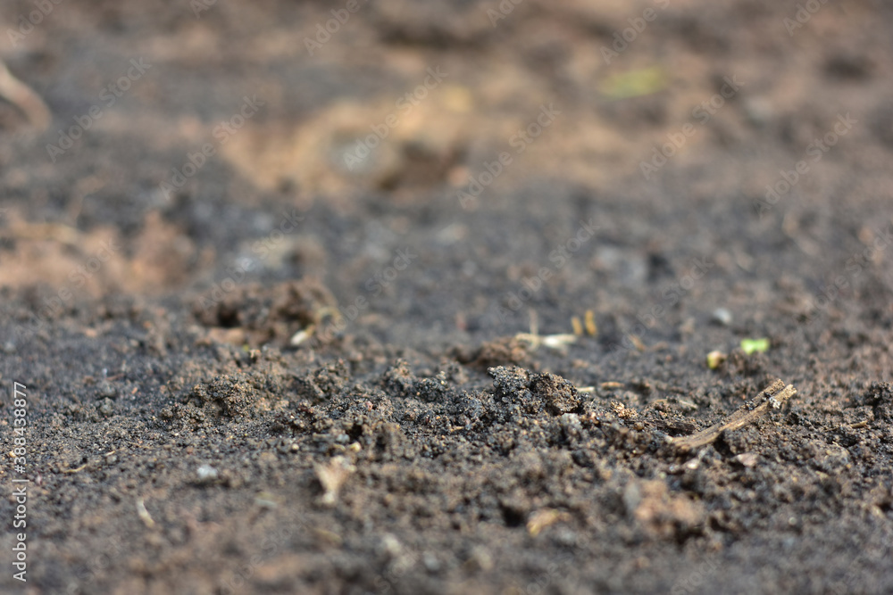 Clean soil for cultivation. The potting soil or peat is suitable for gardening and is one of the four natural elements. The land is life for our planet earth. Selective Focus. Clean soil for cultivation. The potting soil or peat is suitable for gardening and is one of the four natural elements. The land is life for our planet earth. Selective Focus.