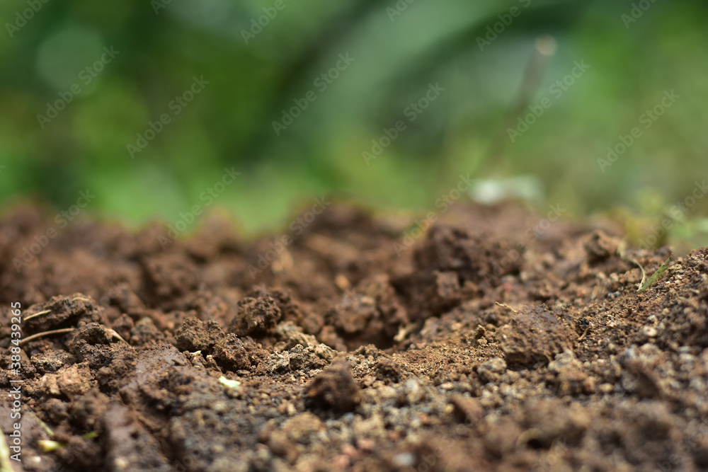 Clean soil for cultivation. The potting soil or peat is suitable for gardening and is one of the four natural elements. The land is life for our planet earth. Selective Focus. Clean soil for cultivation. The potting soil or peat is suitable for gardening and is one of the four natural elements. The land is life for our planet earth. Selective Focus.