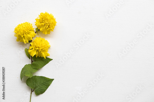 marigold yellow flower arrangement flat lay postcard style on background white wooden
