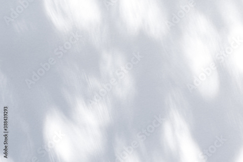 木漏れ日があたる紙