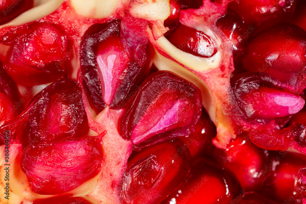 Close-up of red pomegranate berries. Close-up of red pomegranate berries.