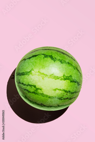 Mini watermelon isolated on a pink background with a hard shadow