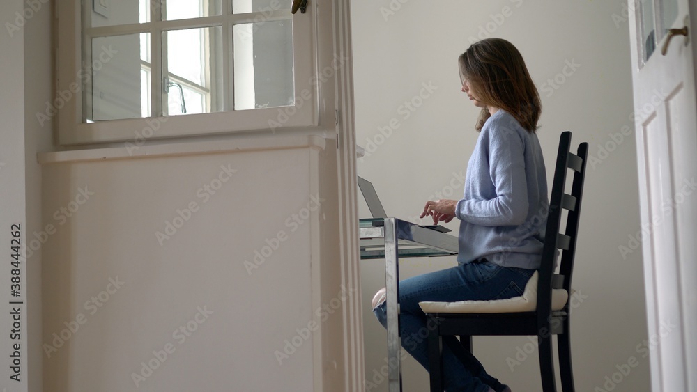 Naklejka premium Woman writer. Professional works from home. Business lady.
