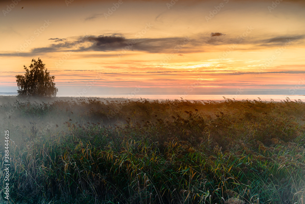 Fototapeta premium Viev on Zalew Wislany from coast in Katy Rybackie