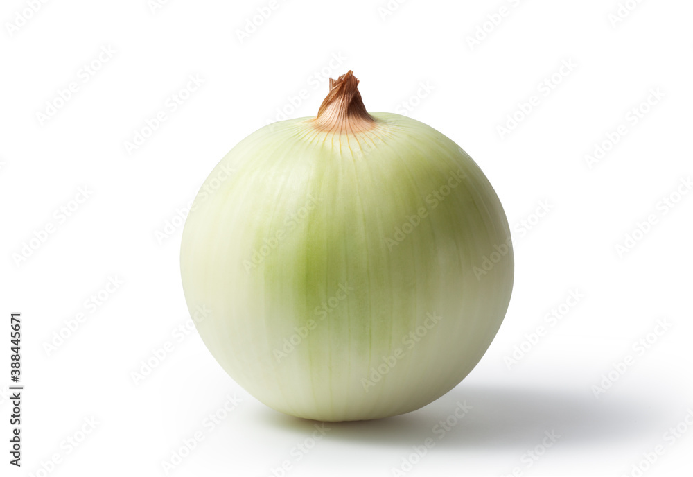 White onion isolated on whtie background White onion isolated on whtie background