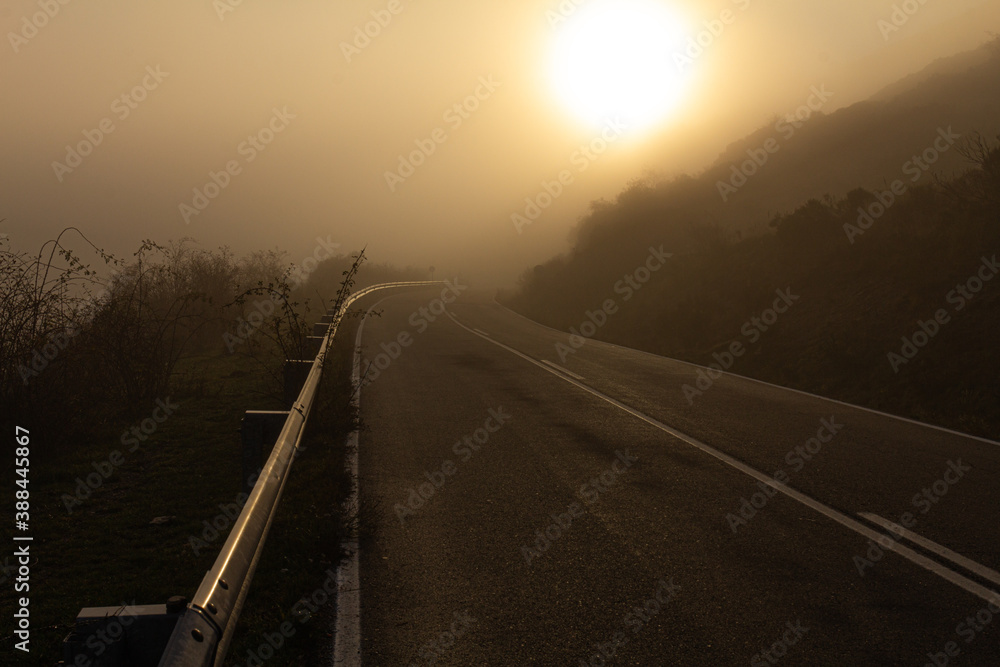 Fototapeta premium Beautiful picture of a road in a foggy day during the sun rising. Close up looking of the tarmac. Low shot.