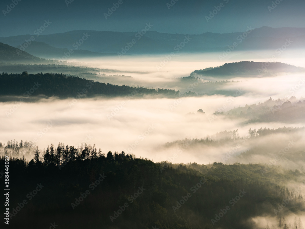 Fog flowing  over forest valley. Misty mountain landscape