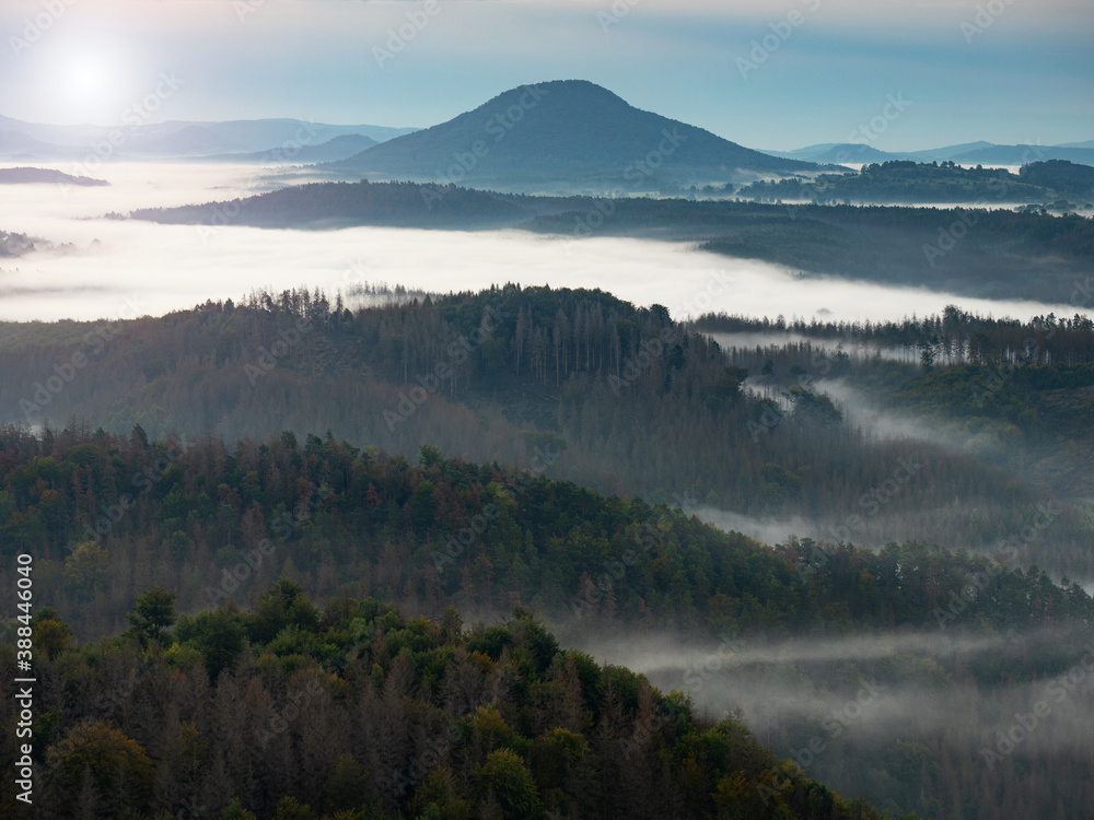 Fototapeta premium Misty dark forest landscape in the morning sunrise. Heavy fog and forest tree view on top. Foggy morning mist in valley beautiful sky