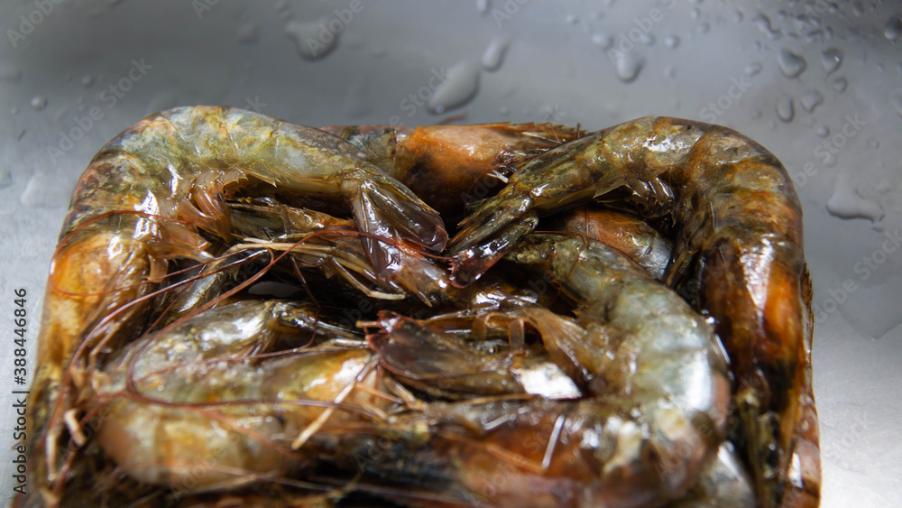 A frozen shrimp A frozen shrimp