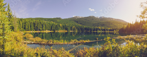 Panorama Whistler Lost lake surround with green pine taiga forest in summer sunset at British Columbia, Canada