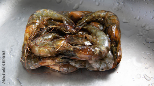 Fototapeta Naklejka Na Ścianę i Meble -  A frozen shrimp 