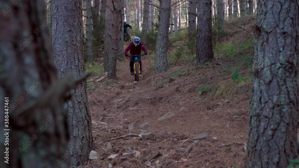 Group of two boys practicing extreme downhill cycling in a pine forest on a very steep hill. Extreme cycling down a mountain. slow motion recording Group of two boys practicing extreme downhill cycling in a pine forest on a very steep hill. Extreme cycling down a mountain. slow motion recording
