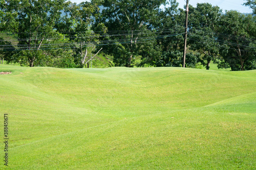 Beautiful green lawn or golf course.