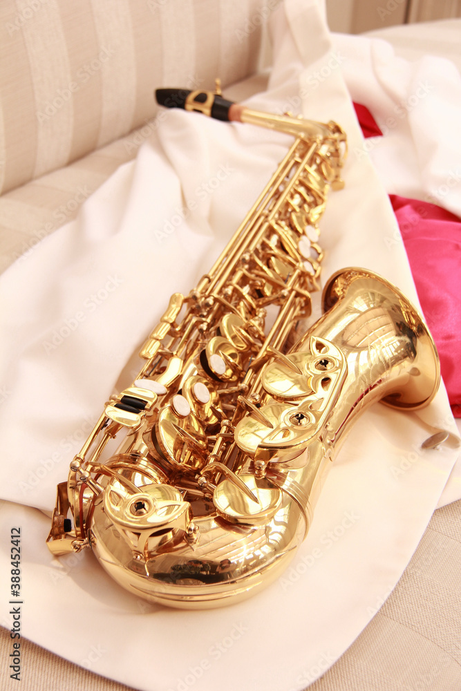 Obraz premium サックス