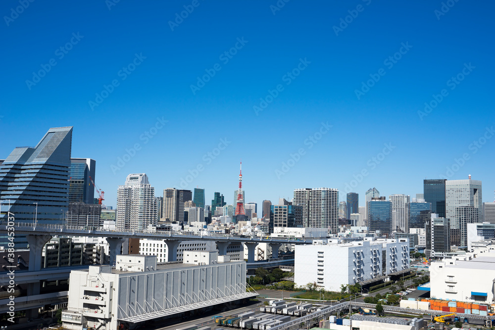 Naklejka premium 東京レインボーブリッジから望むベイエリアの風景