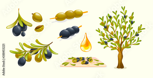 Organic olive products. Drop of olive oil, tree branches, olives on skewers. Healthy organic products
