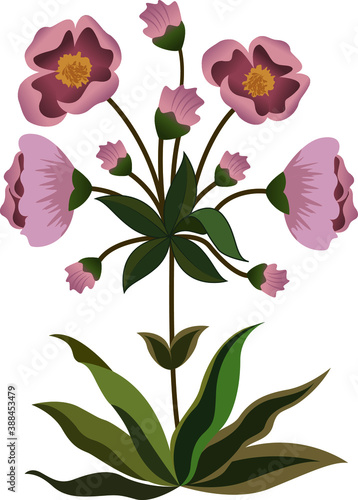 Wallpaper Mural bouquet of pink roses Torontodigital.ca