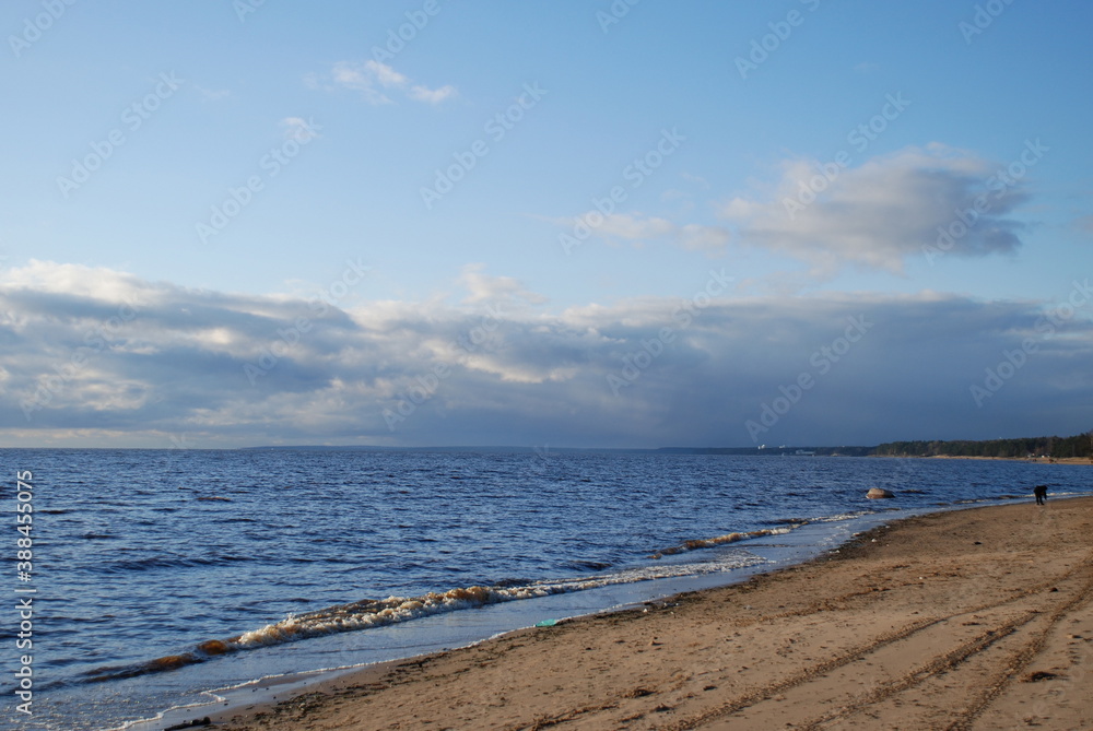 Sunny day. Magnificent views of the beach and the Gulf of Finland. Blue water and yellow sand. Clouds.