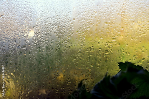 water droplets on a fogged window