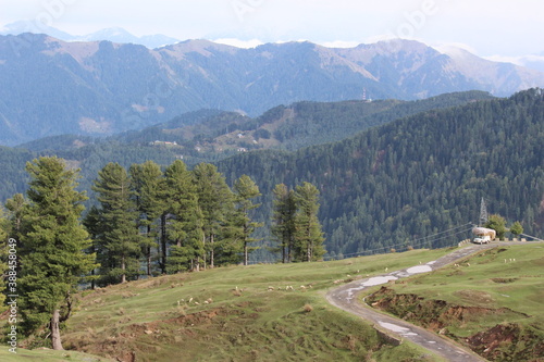mountain road in the mountains