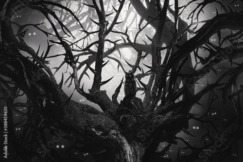 bw dark forest with thorny trees and eyes