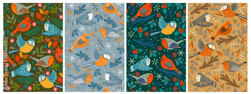 Set of seamless patterns with winter birds. Vector graphics.