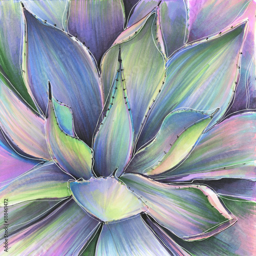 drawing watercolor markers sketch botany agave plant exotic flower green natural macro brush succulent
