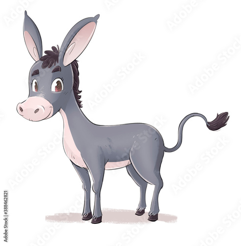Photography Gray donkey illustration