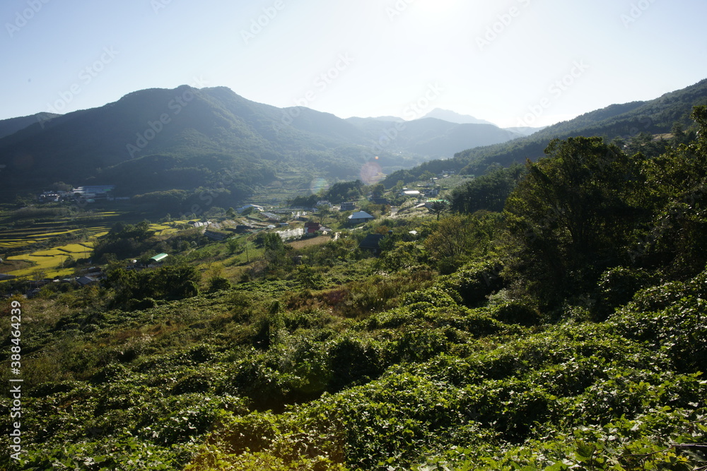 Obraz premium SONY DSC