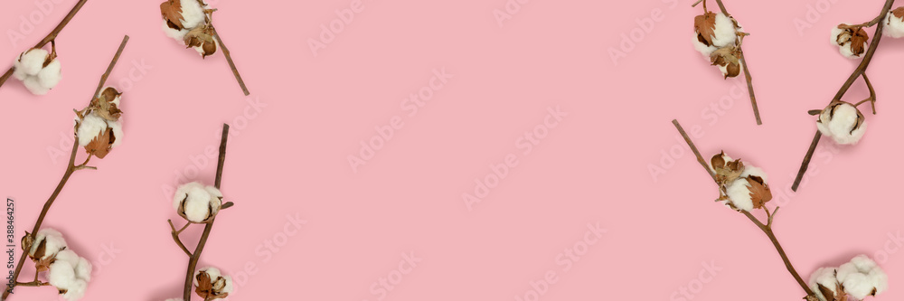 Banner with cotton branches on a pink pastel background. Creative concept with copy space.