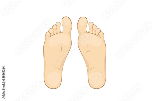 Vector illustration of a mans soles.