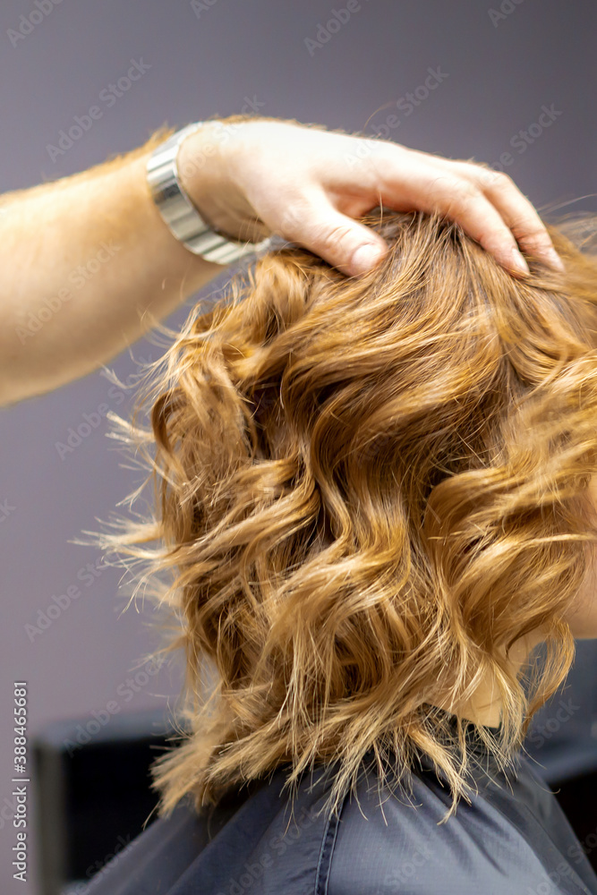 Fototapeta premium Side view of male hairdresser checks curly hairstyle of young caucasian woman in hair salon. Soft focus