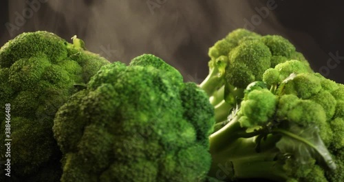 Wallpaper Mural Green fresh broccoli with steam rotating at black background Torontodigital.ca