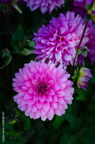 Le jardin des Martels
