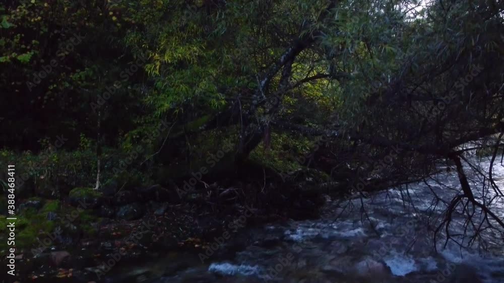 FPV drone shot of a drone falling in a river. Flight accident with a drone. Crash video. FPV drone shot of a drone falling in a river. Flight accident with a drone. Crash video.