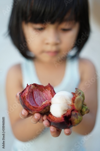 Little Girl holding fresh Mangosteen