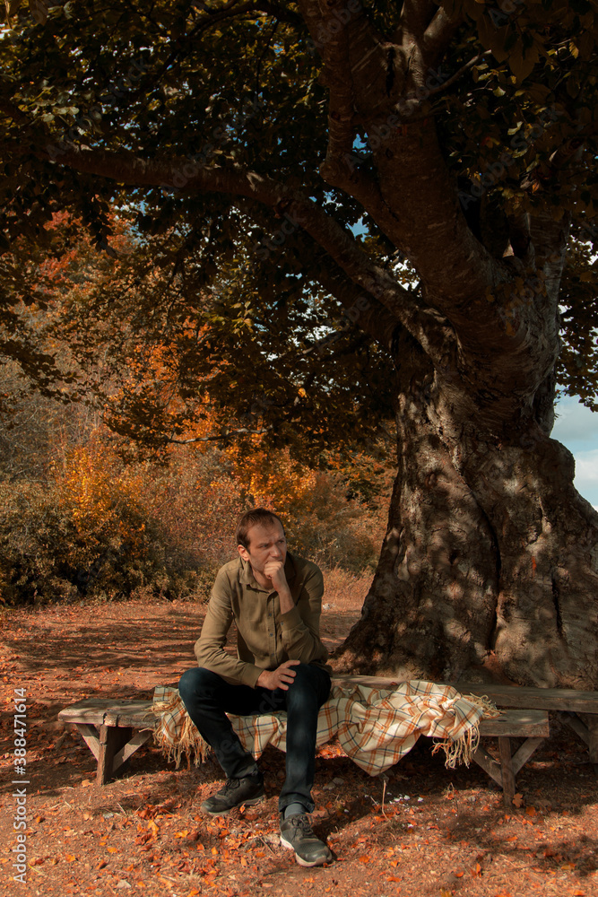 a man sitting under a tree in the forest a man sitting under a tree in the forest