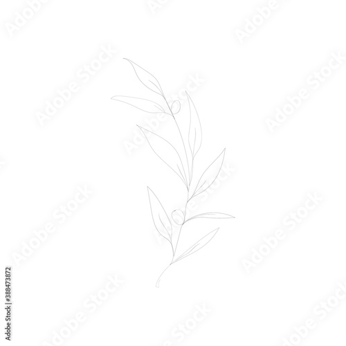 SINGLE-LINE DRAWING  11 LEAVES  BOTANICAL 3 . This hand-drawn  continuous  line illustration is part of a collection inspired by the drawings of Picasso. Each gesture sketch was created by hand.