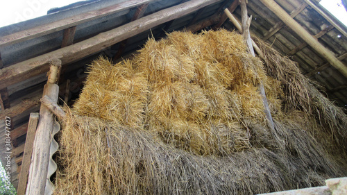 Fotografie, Obraz Old wooden barn with haystacks in the rural village