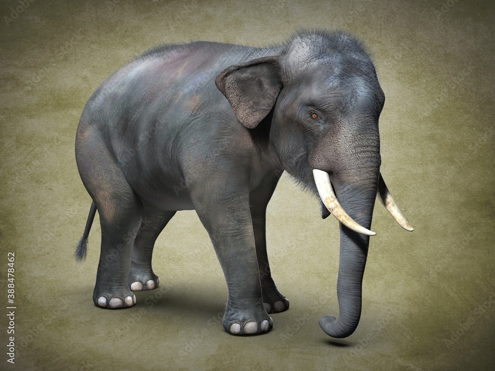 Obraz premium Big Asian elephant. 3D illustration