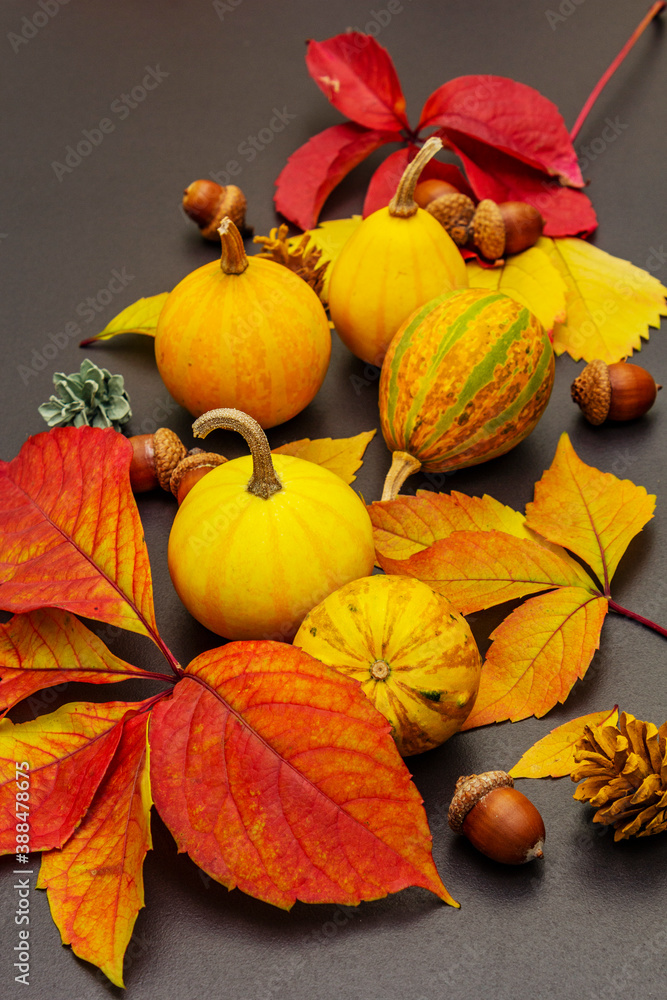 Autumn background with decorative pumpkins, fall leaves, acorns and fir cones