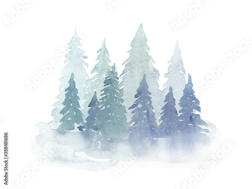     Winter watercolor fir trees in the fog. Hand drawing