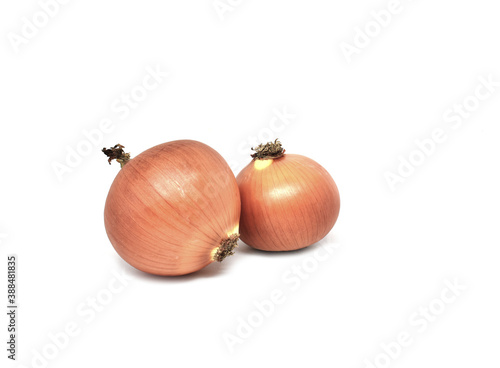 Wallpaper Mural red onion on white background Torontodigital.ca