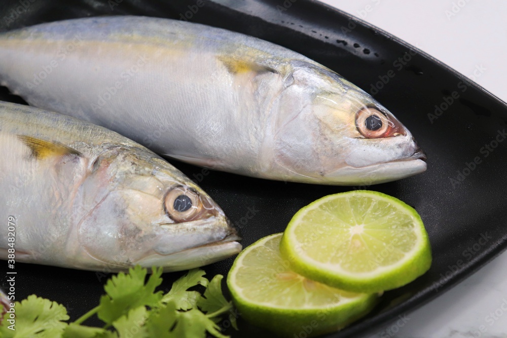 Uncooked Indian mackerel fish Rastrelliger kanagurta. also known as Bangda fish. Free copy space. Lemon wedge and coriander. top view fish background. online fish marketing. 