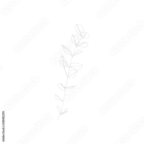 SINGLE-LINE DRAWING  Leaves  Branch  Botanical 15. This hand-drawn  continuous  line illustration is part of a collection inspired by the drawings of Picasso. Each gesture sketch was created by hand.