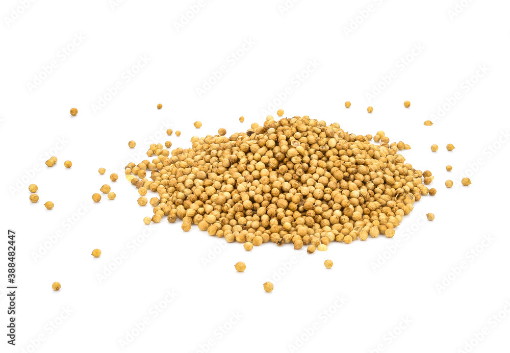 Pile of Organic Dried coriander seeds (Coriandrum sativum) isolated on white background. Pile of Organic Dried coriander seeds (Coriandrum sativum) isolated on white background.