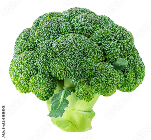 Raw broccoli isolated on white background, close-up. .