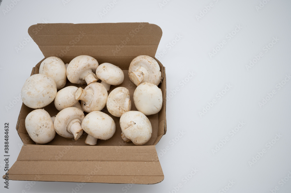 mushrooms in a box mushrooms in a box