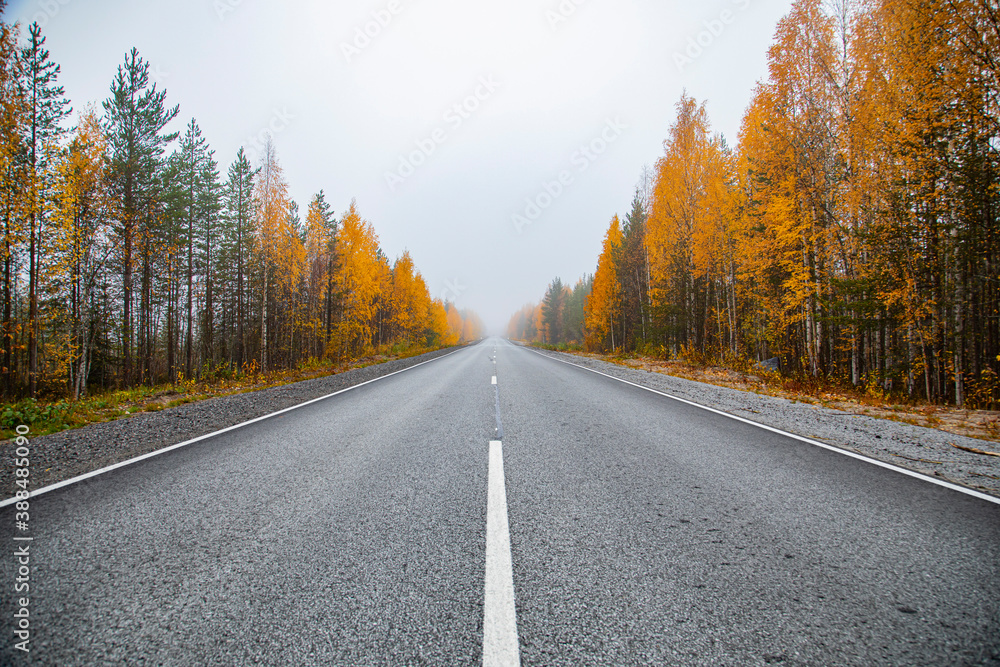 Asphalt road in the autumn foggy forest. Travels. Asphalt road in the autumn foggy forest. Travels.